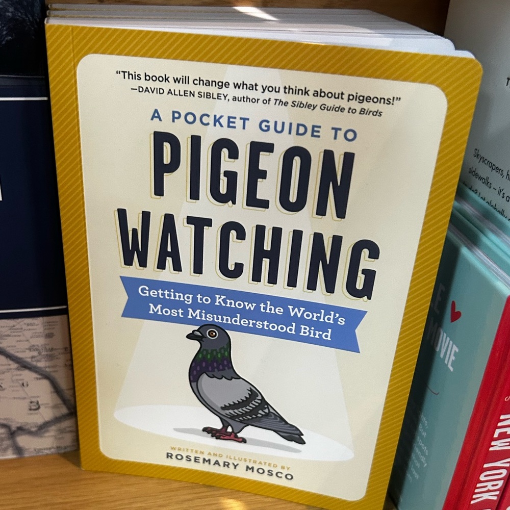 A Pocket Guide to Pigeon Watching by Rosemary Mosco - Yellow Cover